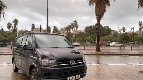 Jeeves – “Jeeves” 4 berth Volkswagen campervan from 2017