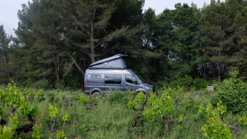 Ventura 4x4 – Autobus Mercedes-Benz a 4 posti del 2021