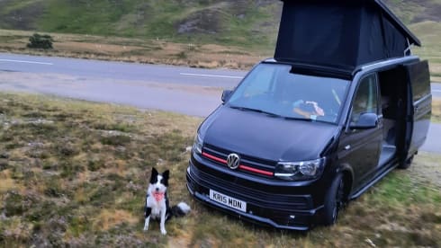 Maisie – Stylish 4berth, pet friendly, automatic VW campervan 