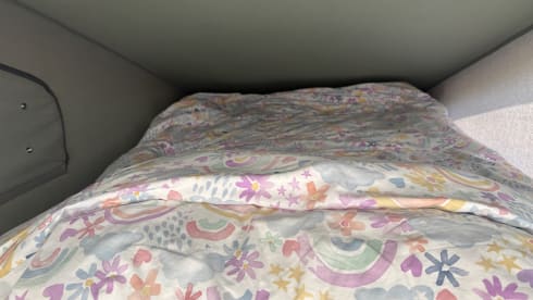 Volkswagen campervan met 4 slaapplaatsen, bouwjaar 2021.
