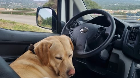 2-seater Nissan campervan from 2017