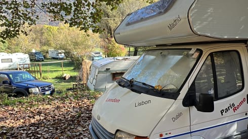 Pippo – In viaggio con Pippo