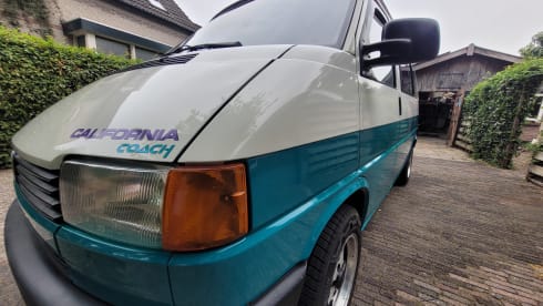 Dolly! – Go on an unforgettable road trip with this T4 Westfalia! KM-free!
