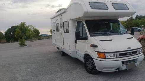 FELU ♥️ – FELU ♥️