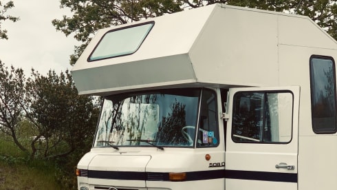 Brutdemerc – Brut, het stoere avontuur