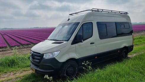 Sol – 2p Mercedes-Benz bus from 2019