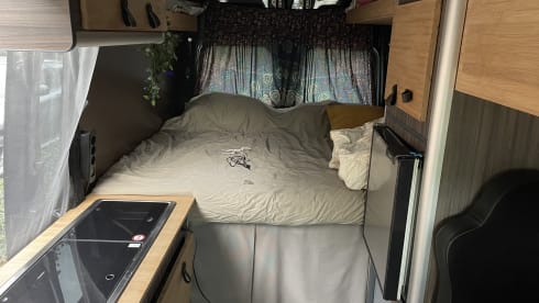 2p Volkswagen bus from 2012