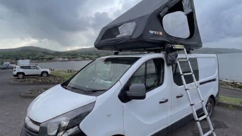 Disco Bus  – 4-persoons campervan, modeljaar 2017