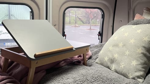 GINNY – small but has everything