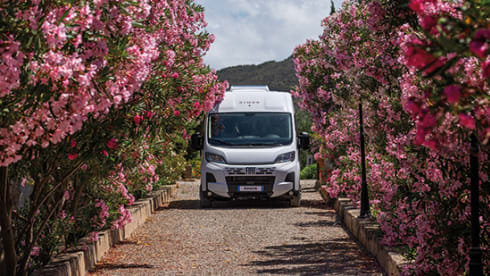 Duke III – 3p Rimor bus from 2025