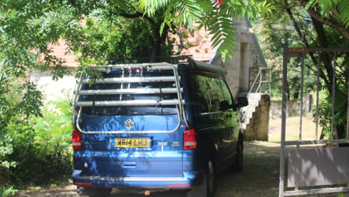 Dragonfly – VW California