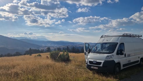 Leeuwke – Minibus Peugeot 2 places de 2014