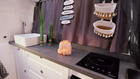 Bert – Ready for almost any adventure