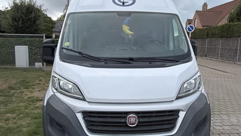 Bobo – 2p Fiat bus uit 2018