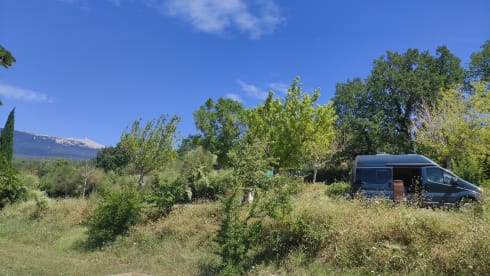 Bussie/rustig aan wagen – 2p Renault bus from 2003: For sporty wind campers