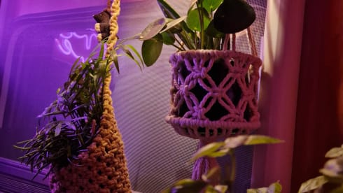 Smart & strong! 131hp - 2p - MaxxFan - CarPlay - Solar panel