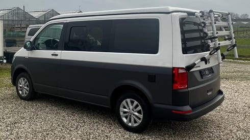 Alegria – 4p Volkswagen campervan from 2018