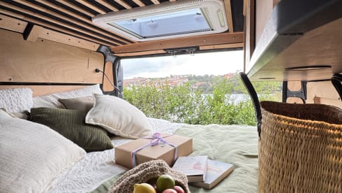 3p Peugeot bus from 2017