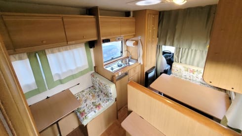 Freddy – "Camper Mansardato Fiat Ducato : Classico Vintage Familiare"