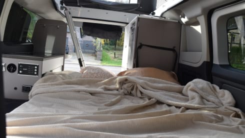 viacopa – 4p Ford campervan from 2024