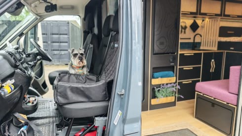 MULL – Luxus-Citroën Relay L4H2 aus dem Jahr 2025 