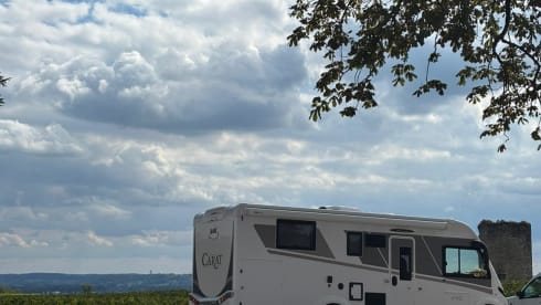 DELPORTE CYCLING – 5p McLouis CARAT 879 from 2025