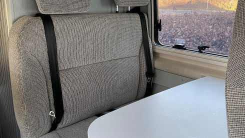 4p Hymer bus from 2019