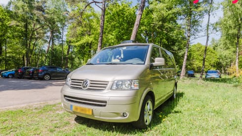 Alice The Van – Künstlerischer Dschungelcamper