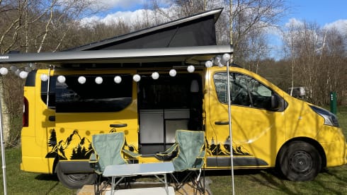 Arie – 4-Sitzer Renault Wohnmobil aus dem Jahr 2017