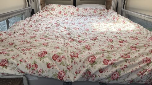 Bertie – Beautiful Burstner 