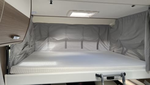 4p Carado integrated uit 2021