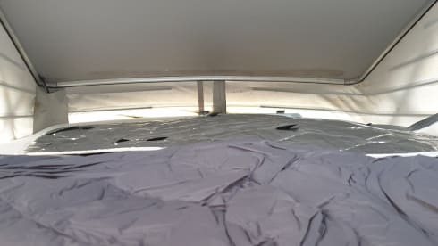 Mercedes Westfalia camper bus, MarcoPolo 4 persons