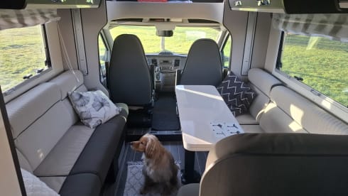 Jenny – 4p Roller Team semi-integrated from 2022