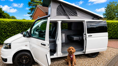 Wolfie – Volkswagen-Campingbus mit 4 Schlafplätzen ab 2026