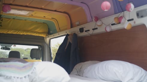 Roadsurfer – Le « road surfeur »