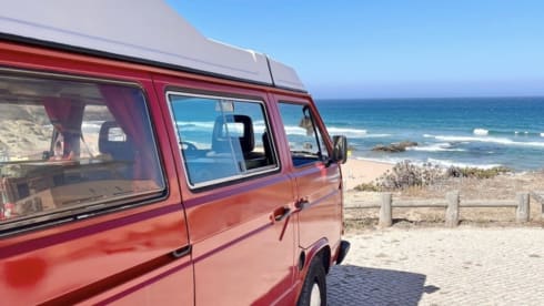 Cherry – Volkswagen Westfalia T3 Combi