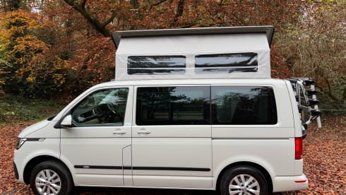 Bilbo – (VW001) 2021 VW T6 2 berth Bilbo's Camper van with heating