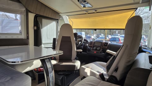 4p McLouis carat integraal uit 2019