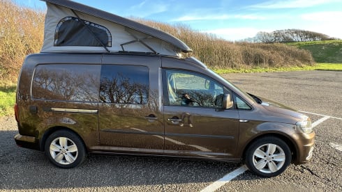 2 berth Volkswagen toffee brown camper