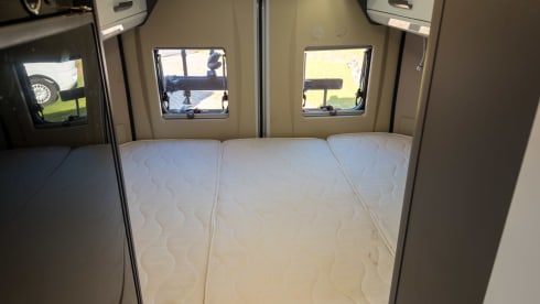 Witte Vlegel – Mclouis Menfys Matic 