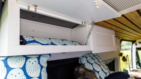 Hoots – 2 berth Volkswagen campervan from 2016