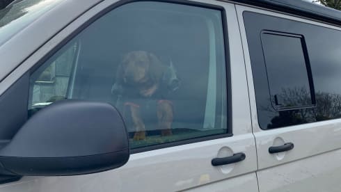 Archie – Luxury VW Campervan For Hire 