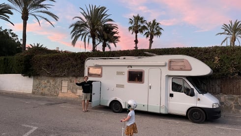 Miss Honey –  The most stylish family camper is looking for warm adventurers!