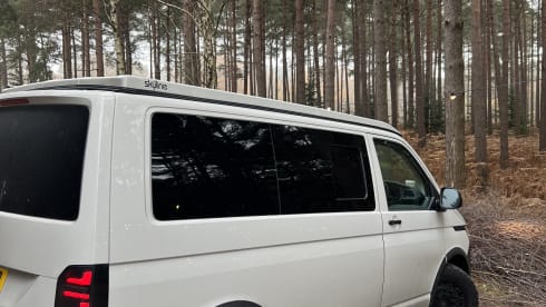 Vw T6 Swamper 