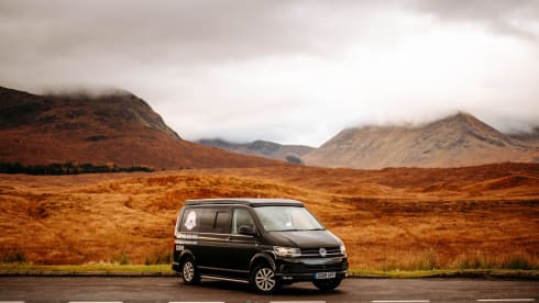 Rogue Two – Meet 'Rogue Two' - he's an absolute beauty (VW T6)
