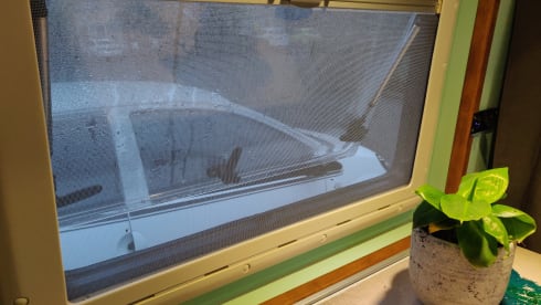 De Reizende Levensgenieter – Nice Fiat camper bus for 2-4 people