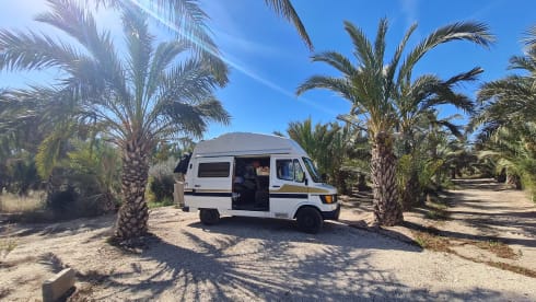 Mille  – Mille in Sweden tough oldtimer Mercedes Marco Polo
