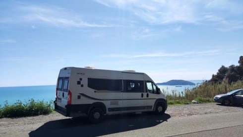  Swan – Nuovo Bravia 636 Swan
