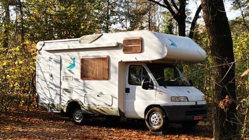 Bob – Ihr Roadtrip-Partner in der Kriminalität | 6m, 2-4 Pers. | auch für das lange Reisemobil