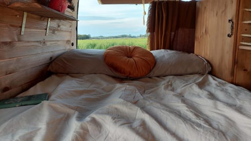 Amerai il nostro bel camper Volkswagen insieme al tuo cane o gatto!